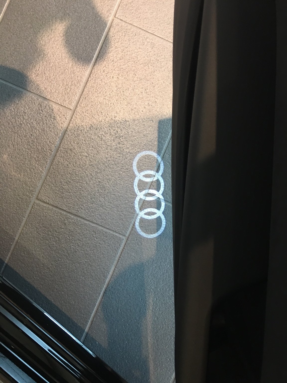 2x Audi door light (plug&play)