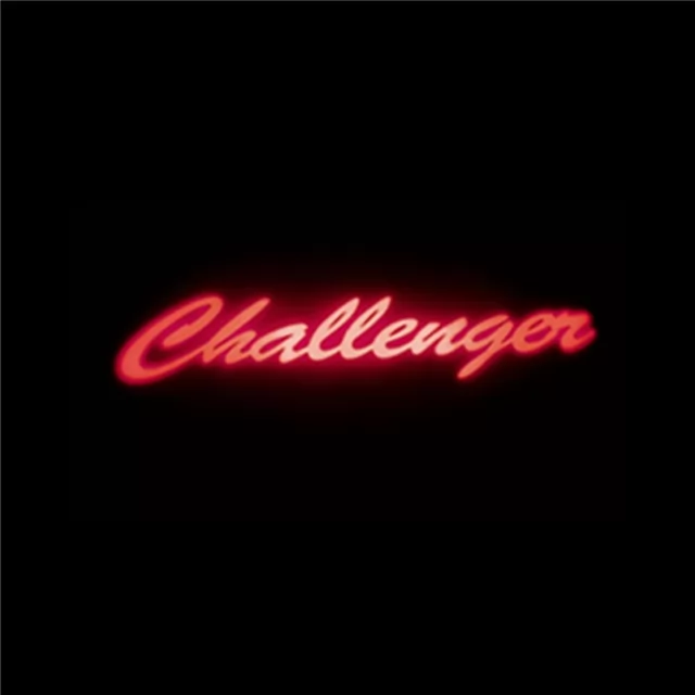 2x Dodge Charger/Challenger door light (plug&play)