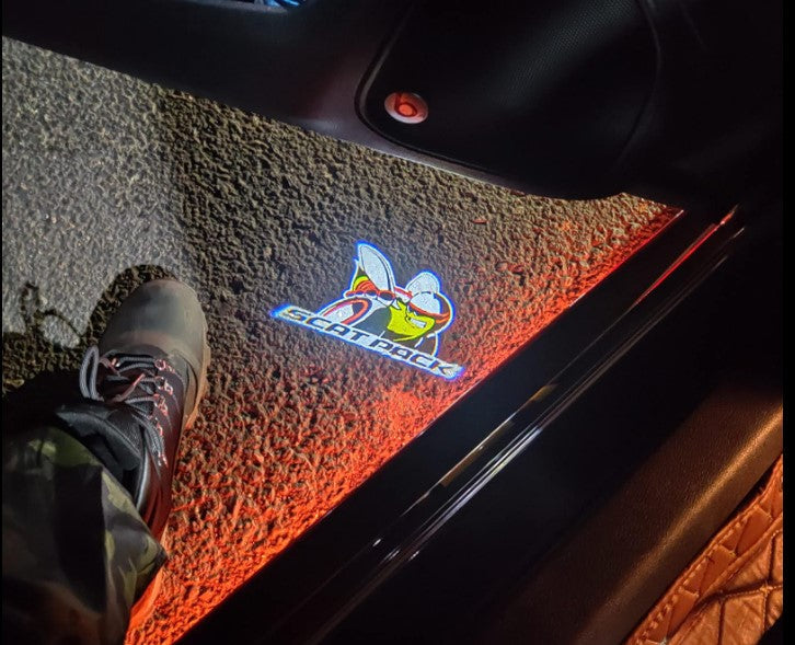 2x Dodge Charger/Challenger door light (plug&play)