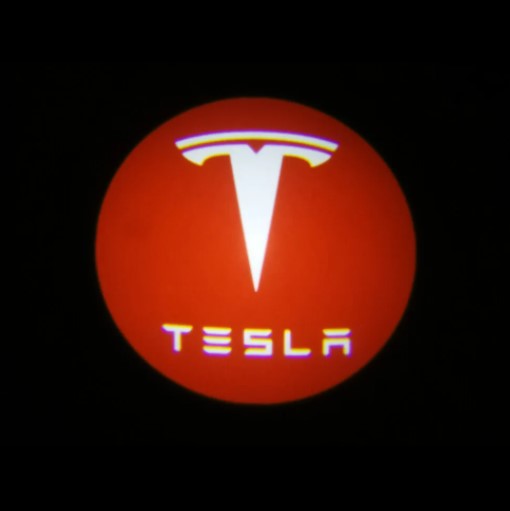 2x Tesla DOOR LIGHT (PLUG&PLAY)