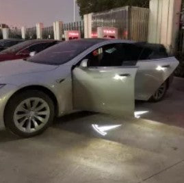 2x Tesla DOOR LIGHT (PLUG&PLAY)