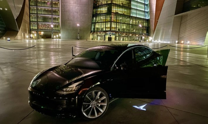 2x Tesla DOOR LIGHT (PLUG&PLAY)