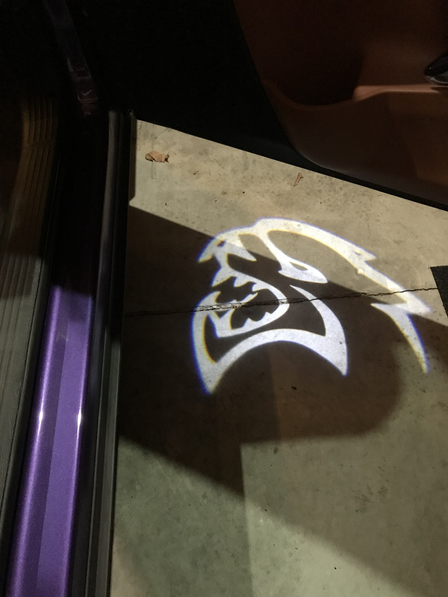 2x Dodge Charger/Challenger door light (plug&play)