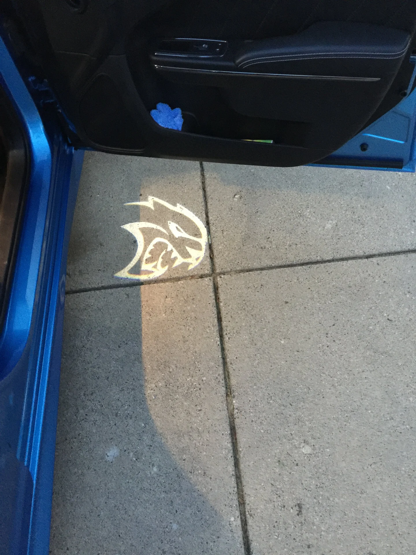 2x Dodge Charger/Challenger door light (plug&play)