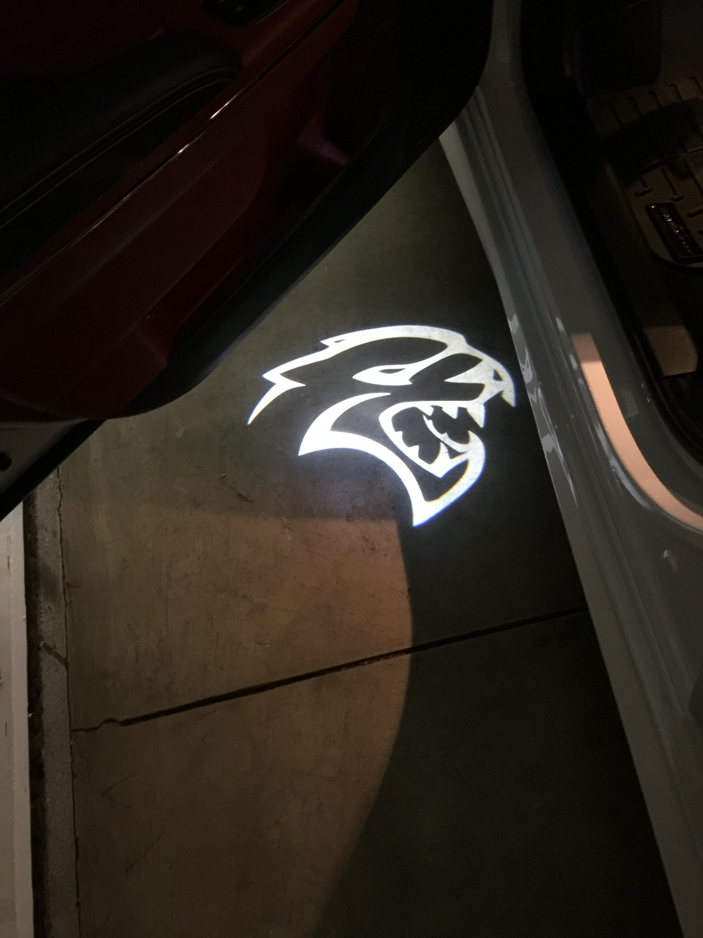 2x Dodge Charger/Challenger door light (plug&play)