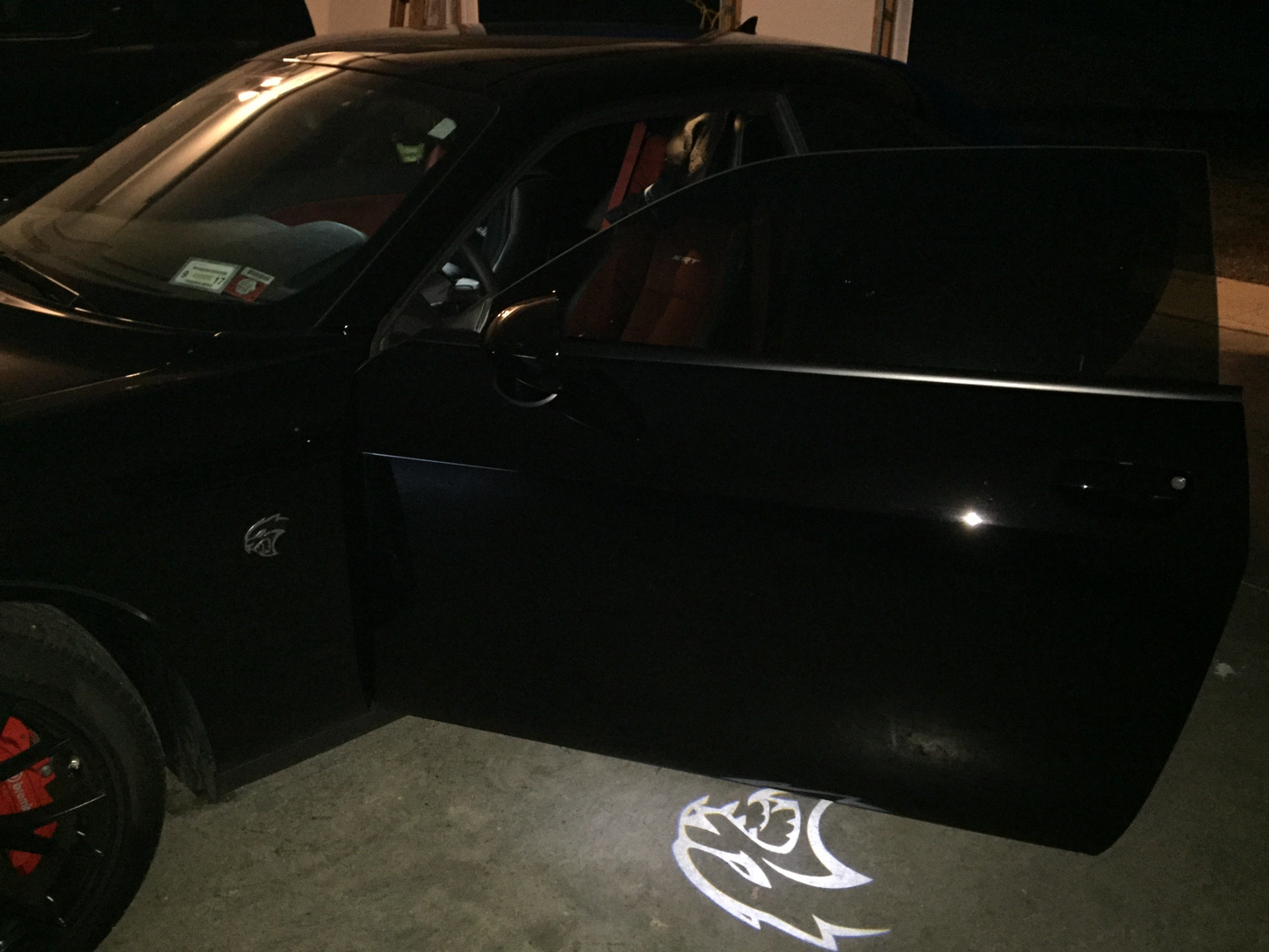 2x Dodge Charger/Challenger door light (plug&play)