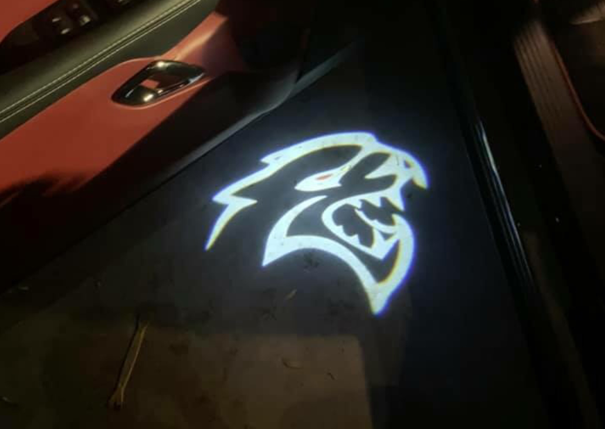 2x Dodge Charger/Challenger door light (plug&play)