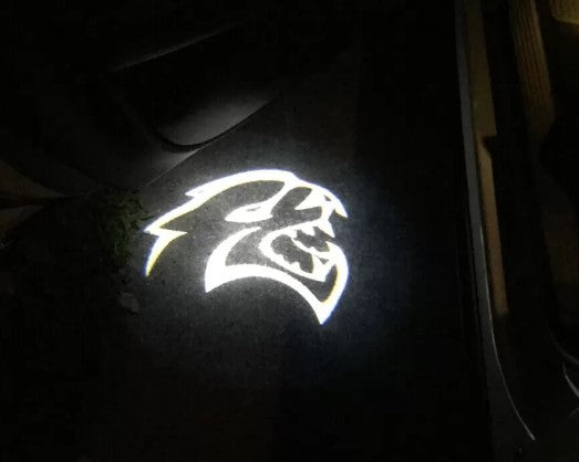 2x Dodge Charger/Challenger door light (plug&play)
