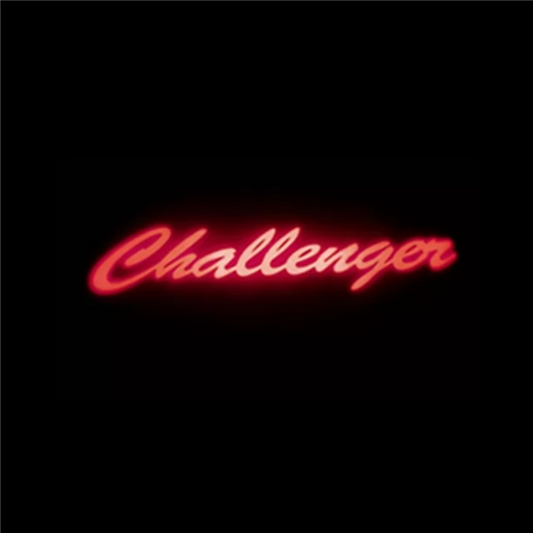 2x Dodge Charger/Challenger door light (plug&play)
