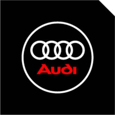 2x Audi door light (plug&play)