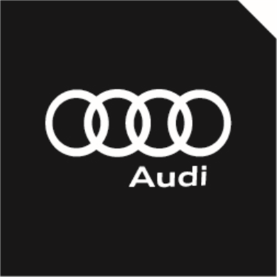 2x Audi door light (plug&play)