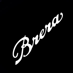 2x Alfa Romeo Brera door light (plug&play)